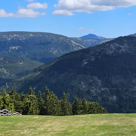 Rezidence Alpina - 15 *