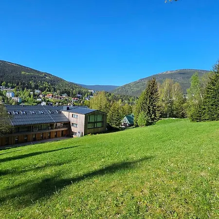 Apartman Rezidence Alpina - 15 *