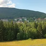 Апартаменти Rezidence Alpina - 15