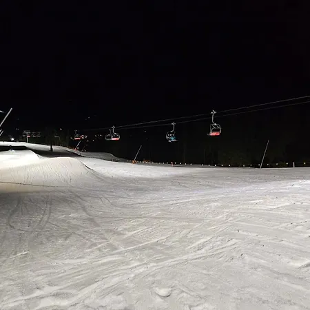 Апартаменты Rezidence Alpina - 15 *