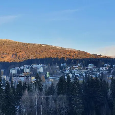 Rezidence Alpina - 15 *