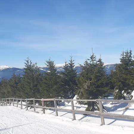 Апартаменты Rezidence Alpina - 15 *