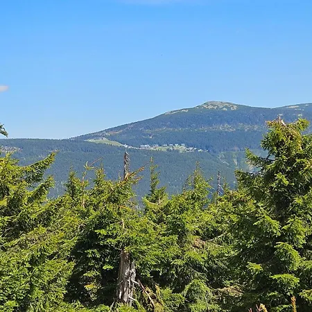 Apartmán Rezidence Alpina - 15