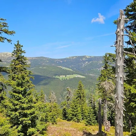 Rezidence Alpina - 15 Апартаменты *