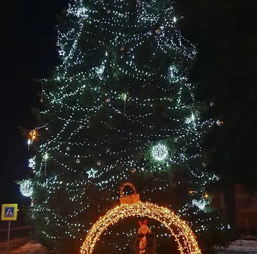 Rezidence Alpina - 15 アパート スピンドレルフ・ムリン