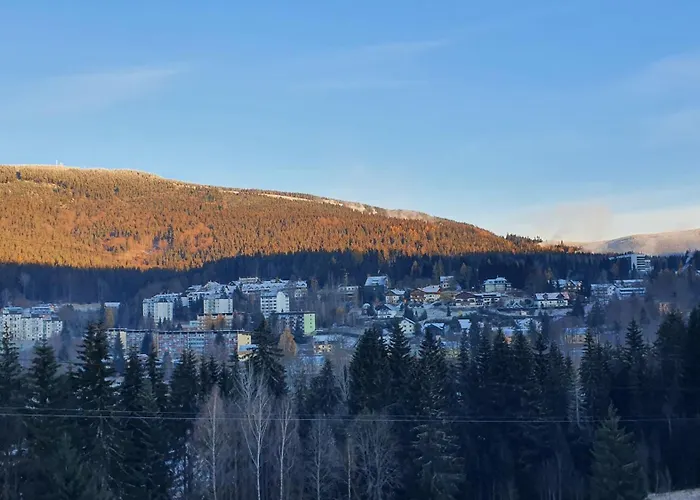 Rezidence Alpina - 15 *