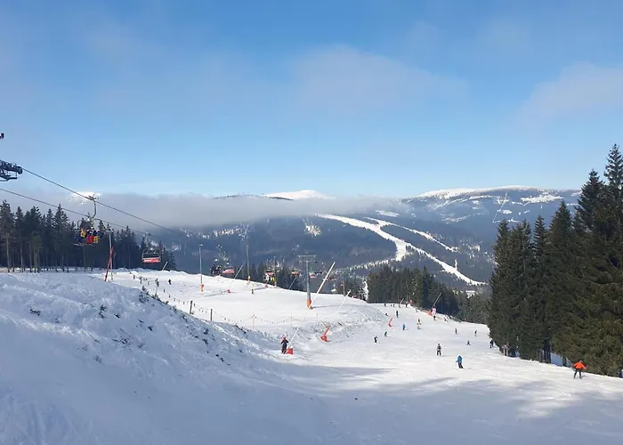 Rezidence Alpina - 15 * Špindlerŭv Mlýn