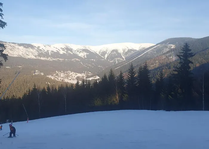 Rezidence Alpina - 15 Daire Špindlerŭv Mlýn