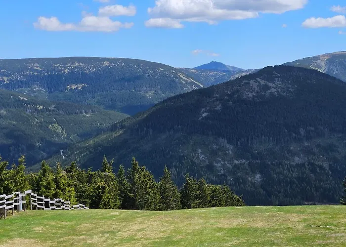 Rezidence Alpina - 15 *