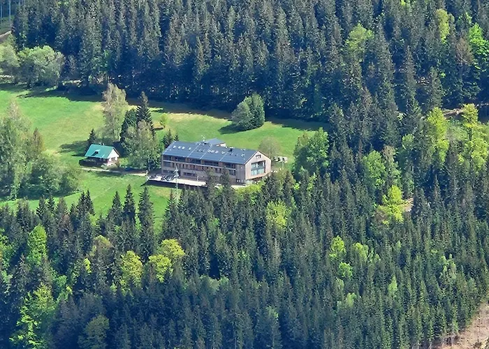 Rezidence Alpina - 15 スピンドレルフ・ムリン