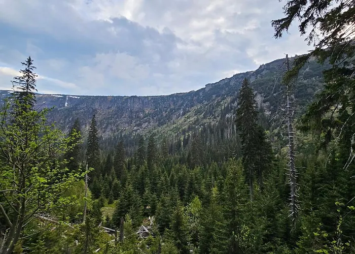 Rezidence Alpina - 15