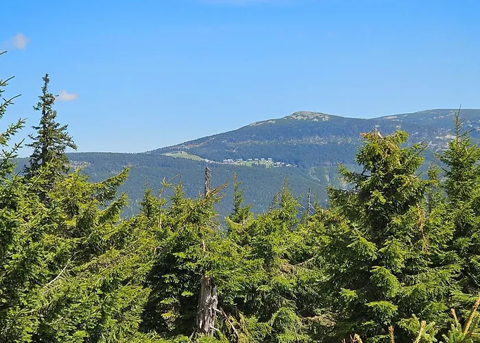 Daire Rezidence Alpina - 15