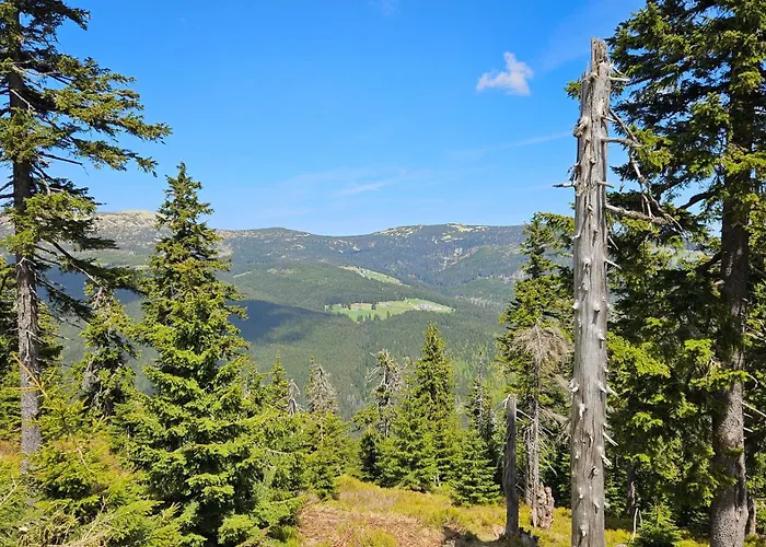 Rezidence Alpina - 15 アパート *